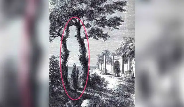  La respuesta al desafío visual / Foto: <strong>Facebook</strong>   