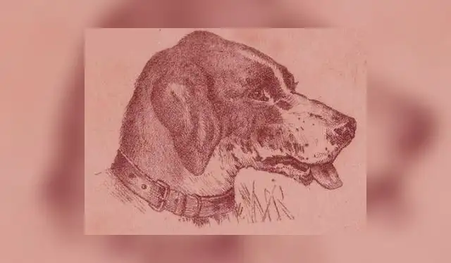  Reto viral: ¿Dónde está el dueño del perro? Descifra el enigma en 15 segundos / Foto: <strong>acertijosymascosas.com</strong>    