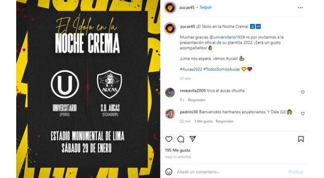 Aucas Noche Crema