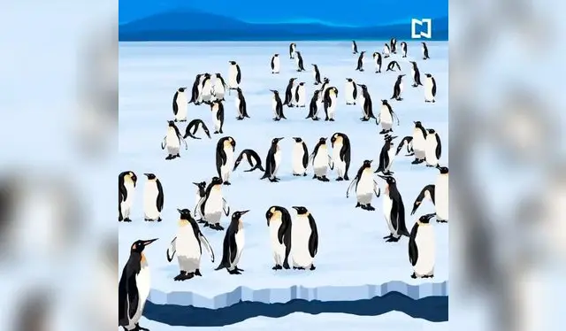  Reto viral: ¿Cuánto pingüinos con sombrero hay en la imagen? / Foto: <strong>Televisa</strong>   