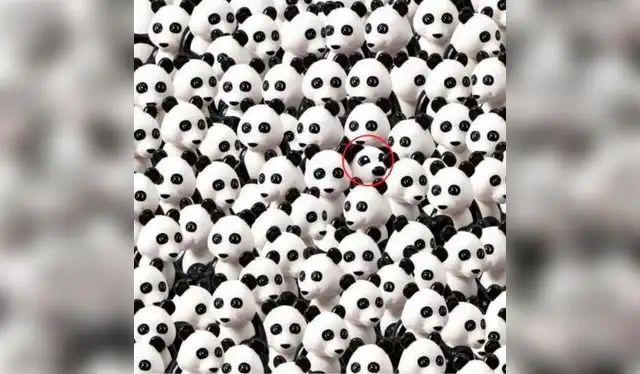 Reto visual Reto visual