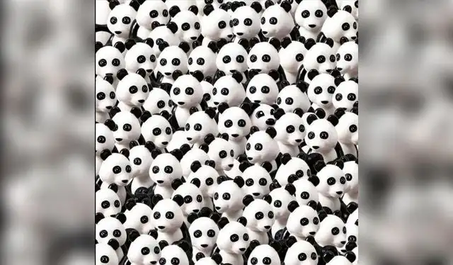 Reto visual Reto visual