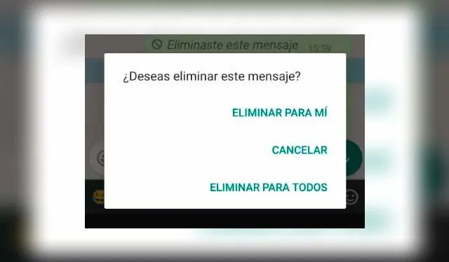 Cuánto tiempo tengo para eliminar una conversación en WhatsApp / Foto: WhatsApp Cuánto tiempo tengo para eliminar una conversación en WhatsApp / Foto: WhatsApp