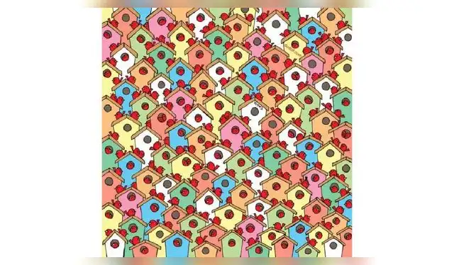 <strong>Foto: Difusión</strong>    <strong>Foto: Difusión</strong>