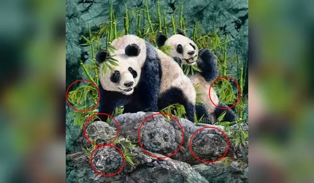 retos visuales, retos virales retos visuales, retos virales