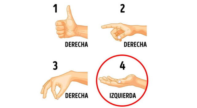 <strong>Fuente: Difusión</strong>   