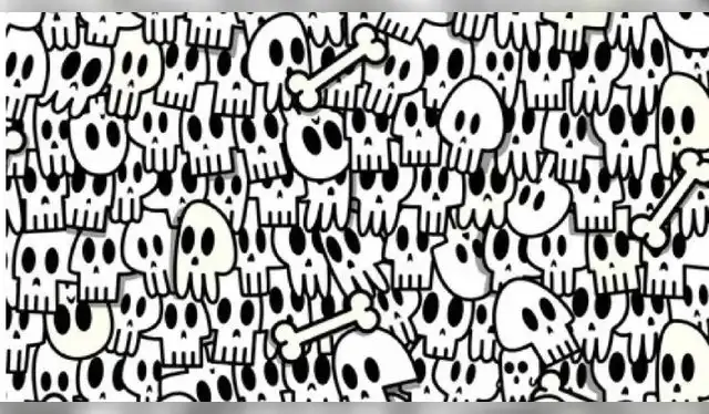 <strong>Fuente. Difusión</strong>   