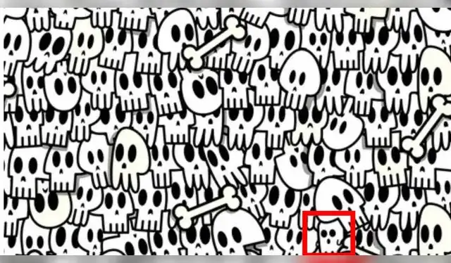 <strong>Fuente: Difusión</strong>   