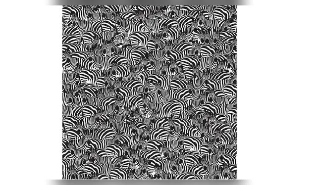 <strong>Fuente. Difusión</strong>   