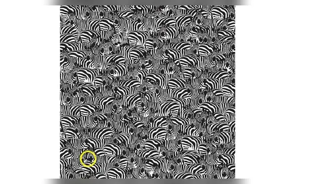 <strong>Fuente. Difusión</strong>   