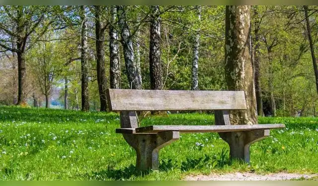 <strong>Foto: Difusión</strong> <strong>Foto: Difusión</strong>