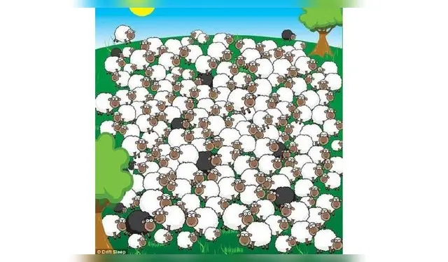 <em>¿Dónde está el perro?</em> <em>¿Dónde está el perro?</em>