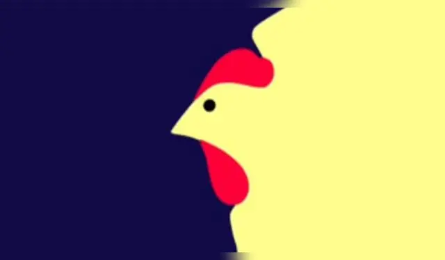 test viral  retos visuales