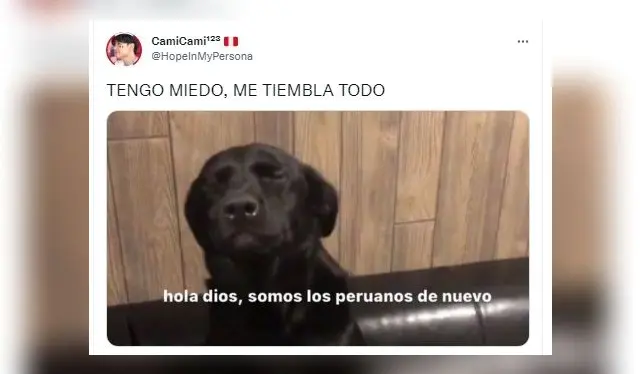 El meme del perro dirigiéndose a Dios fue usado para graficar el sentir de los peruanos. | Foto: Twitter   