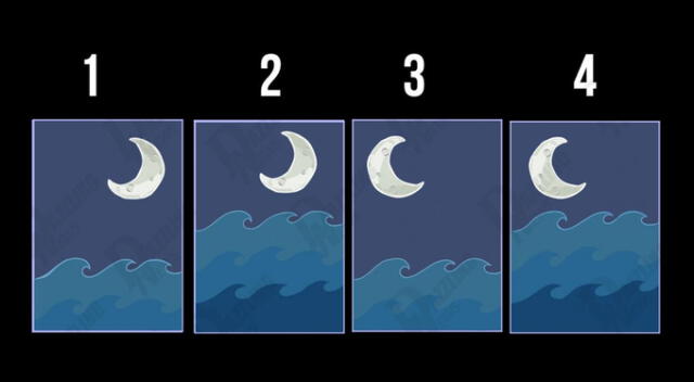 Escoge una de las 4 imágenes (Foto: Dazzling News)   