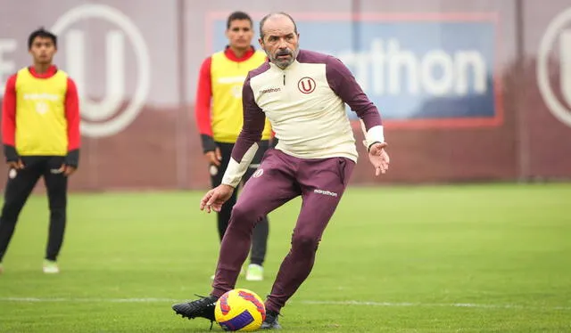 Universitario