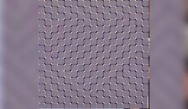 ilusión óptica tendencias desafío reto visual