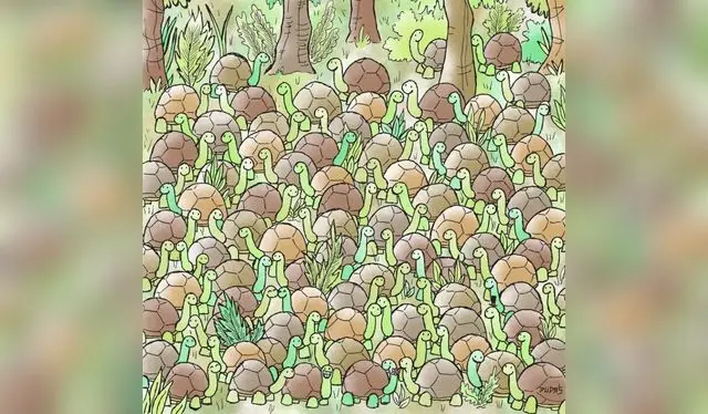 retos visuales, retos virales, retos de internet