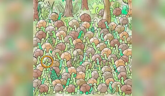  Conoce la solución al complejo reto visual | Foto: Los 40   