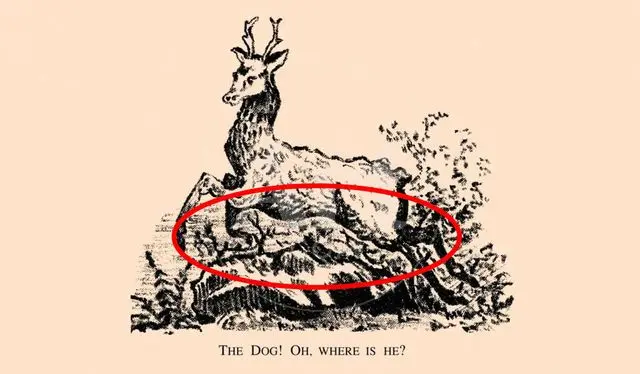 Reto visual: solución Reto visual: solución