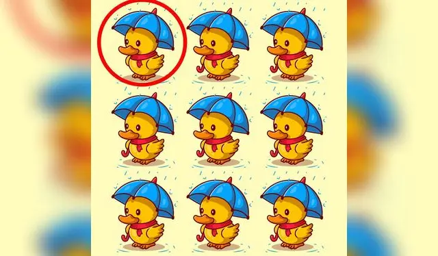 reto visual reto visual