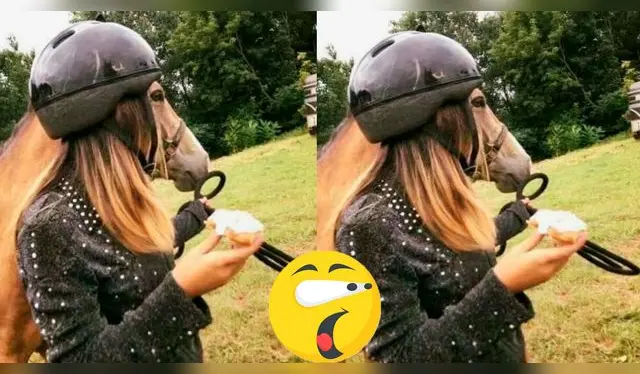 Ilusión óptica   