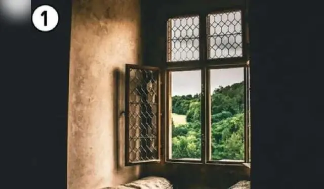 Esta ventana da hacia un bosque lleno de flora y fauna en un día soleado. Foto: Genial.Guru   