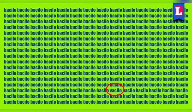 Foto. Líbero Foto. Líbero