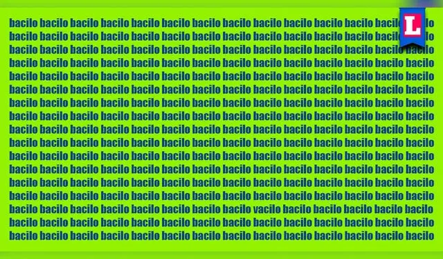 Foto: Líbero Foto: Líbero