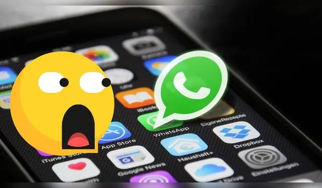 A pesar de la competencia de redes sociales que se especializan en mensajería, 'Whats' sigue siendo la favorita de los usuarios. foto: webABC.   