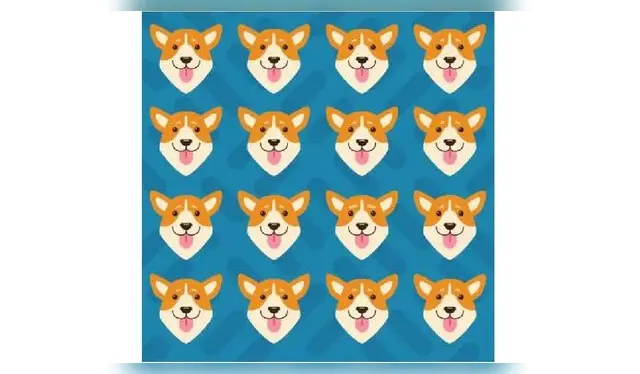 <strong>Reto Visual</strong>   