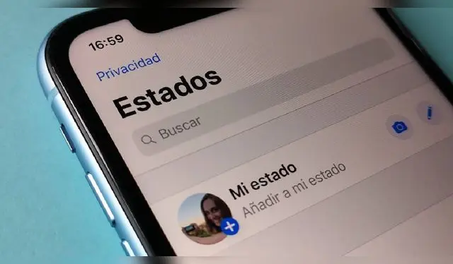 Recuerda que debes usar este truco con responsabilidad. Foto: MDZ. Recuerda que debes usar este truco con responsabilidad. Foto: MDZ.