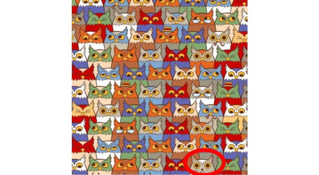 <strong>Solución</strong>   