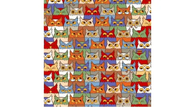 <strong>Reto Visual</strong>   