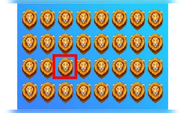 <strong>Solución</strong>   