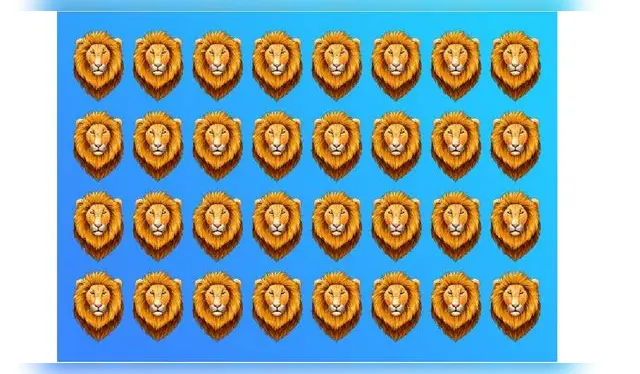 <strong>Reto visual</strong>   