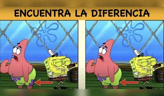 Lo encontraste bastante rápido. Sin duda alguna eres un genio. Foto: MDZ.   