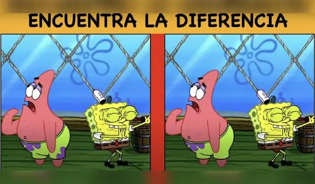 Deberás prestar mucha atención si quieres resolver este reto. Foto: MDZ.   