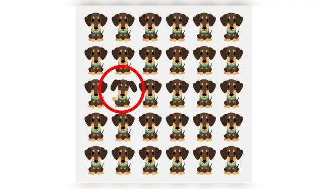 <strong>Solución</strong> <strong>Solución</strong>