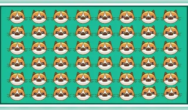 <strong>reto visual</strong>   