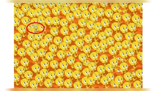 <strong>SOLUCIÓN</strong> <strong>SOLUCIÓN</strong>