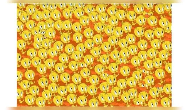 <strong>RETO VISUAL</strong> <strong>RETO VISUAL</strong>