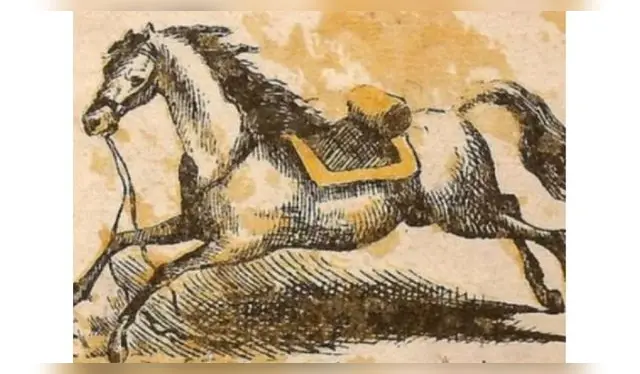 <strong>reto visual</strong>   