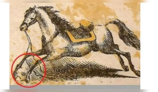 <strong>Solución</strong>   