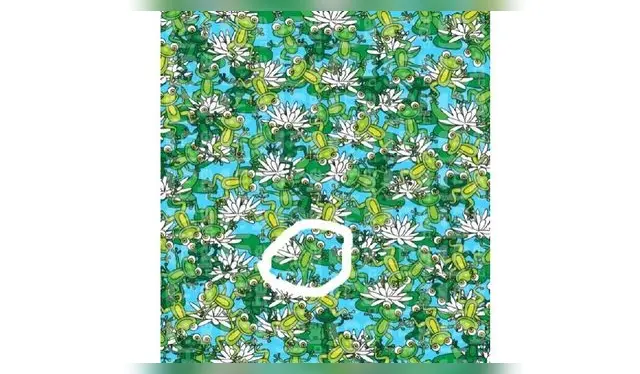 <strong>SOLUCIÓN</strong>   