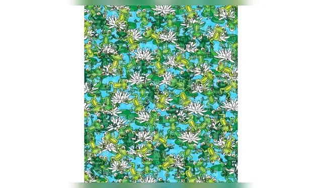 <strong>RETO VISUAL</strong>   