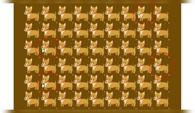 <strong>Solución</strong>   