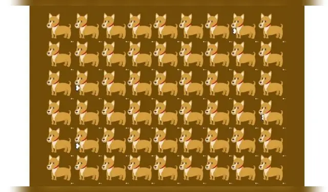 <strong>Reto Visual</strong>   