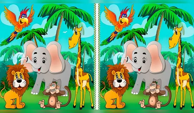 reto visual reto visual