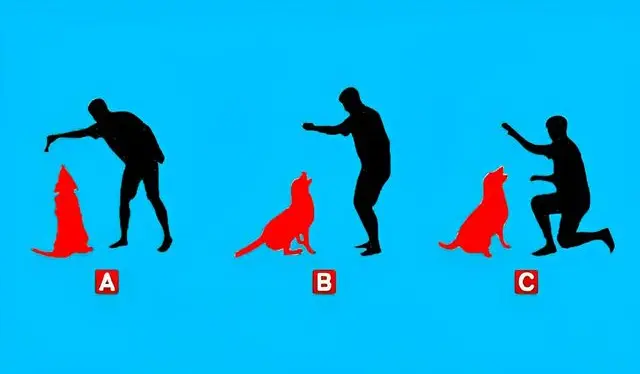 ¿Cómo adiestras a tu mascota? Impresiónate con este test de personalidad / Foto: Genial Guru ¿Cómo adiestras a tu mascota? Impresiónate con este test de personalidad / Foto: Genial Guru